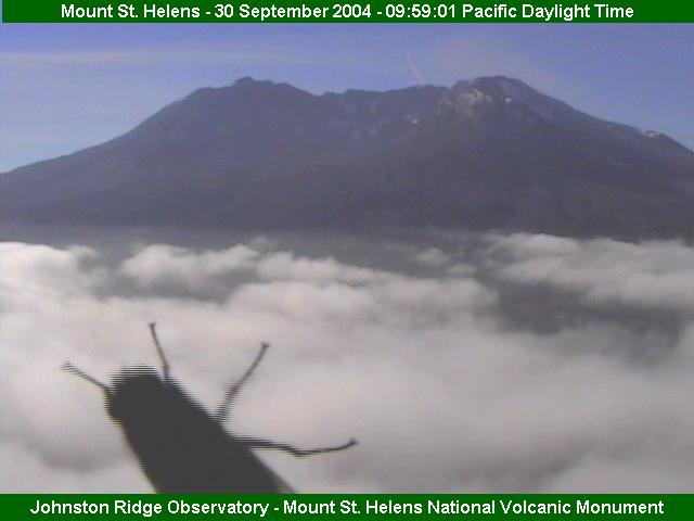 Giant Bugs on Mount St. Helens